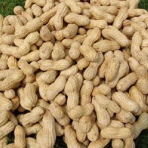 organic groundnut