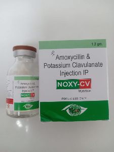 AMOXYCILLIN + POSTASSIUM CLAVULANATE INJECTION (NOXY-CV)