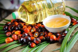 RBD palm oil, Packaging Type: Plastic Bottle, Packaging Size: Multi-size