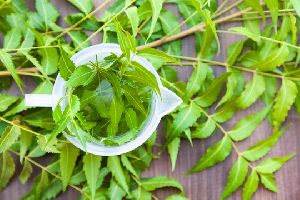 Neem Leaves Hydrosol Water