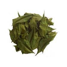 Dried Neem Leaves