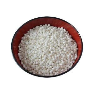 Natural White Sago Seeds