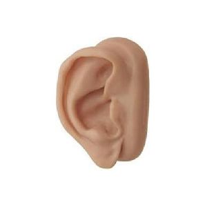 Silicon Ear Prosthesis