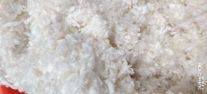 Bleached absorbent cotton bales and rolls