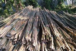 Deluxe bamboo 24 feet