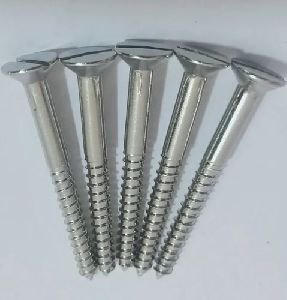 Galvanized Iron Screws