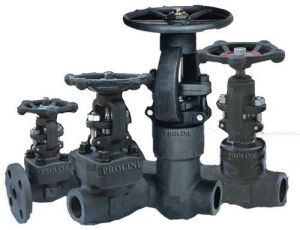 Class 900 Gate Valve