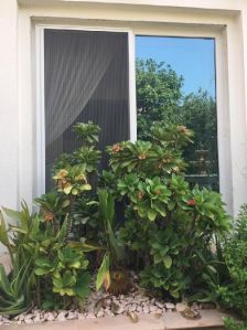 Retractable Fly Screen