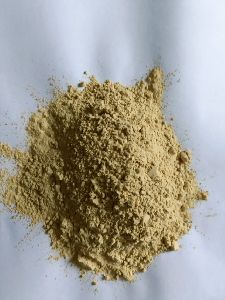 garlic powder