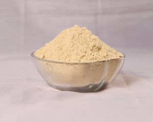 White Onion Powder