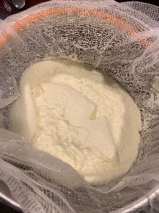 Dehydrated White Onion Powder