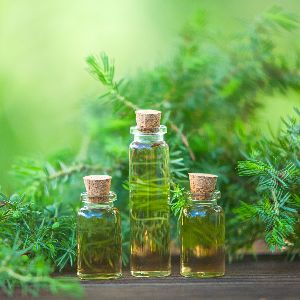 Tea Tree Oil