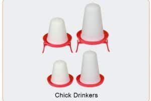 Chick Drinker