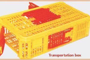 Chicken Transport Box