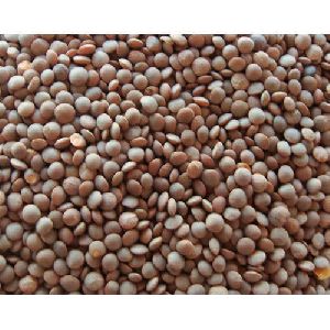 Whole Red Masoor Dal