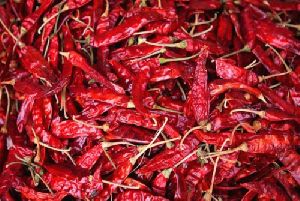 With Stem Organic Dried Red Chilli, Certification : Import Certifications