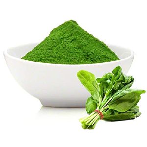 Spinach Powder