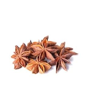 Indian Star Anise