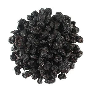 Dehydrated Blueberry
