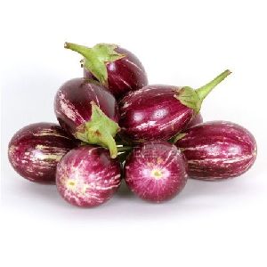 Natural Fresh Brinjal, For Human Consumption, Packaging Size : 10kg, 25kg