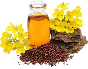 Mustard Oil