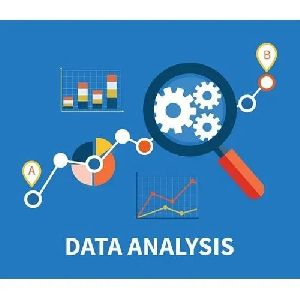 Data Analysis Services