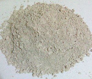 diatomaceous earth powder