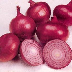 Onion from Nashik