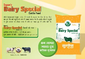 dairy special cattle feed