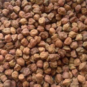 Brown Chickpeas