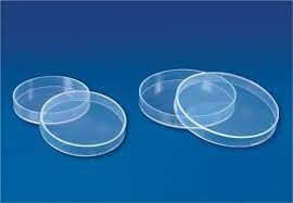 Polypropylene Petri Dishes