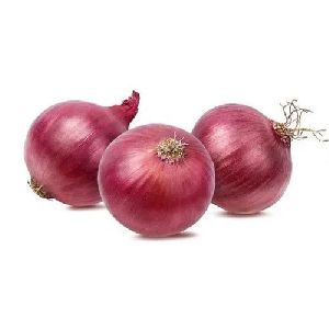 fresh red onion