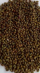 Dhaincha Beans
