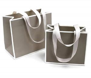 Plain Luxury Paper Bags