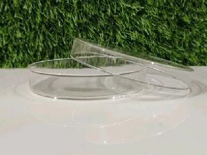 80x17mm Glass Petri Dish