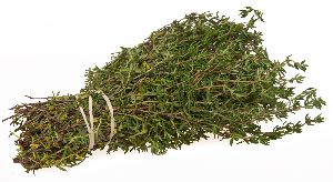 Thyme Herb