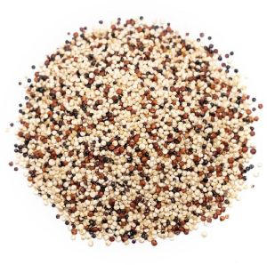 Tricolor Quinoa Seeds