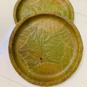 12 Inch Palash Leaf Plate