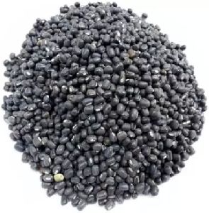 black urad dal