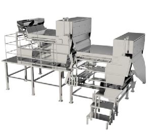 KFS Cashew Color Sorter