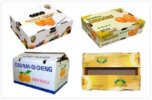 Fruit Packaging Boxes