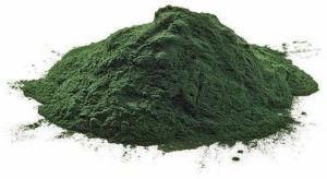 spirulina powder