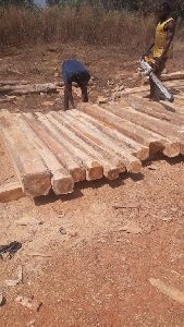 teak wood log