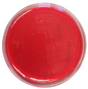 Blood Agar Plates