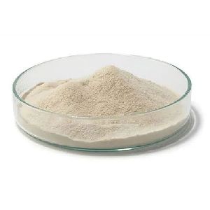 Nutrient Agar Powder