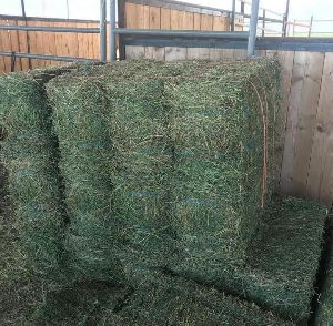 Alfalfa Orchard Mix Hay For Sale