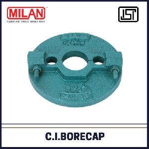 cast iron bore cap