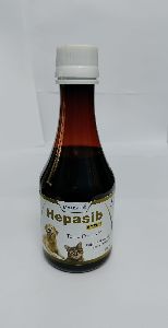 HEPASIB SYRUP