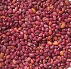 RKB beans