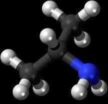 2,5-dichloro-bromophenol